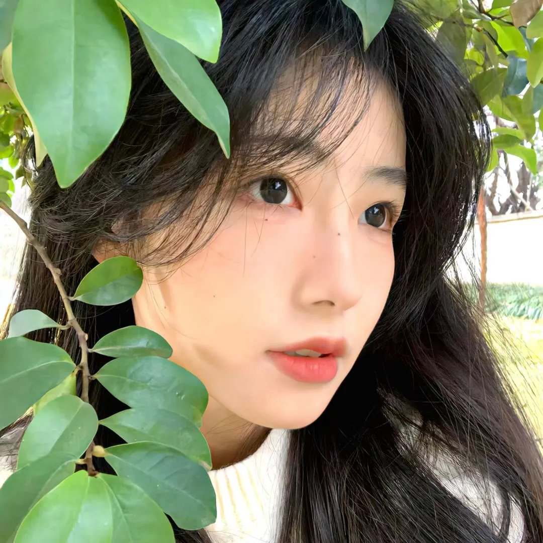 阿尔卑斯的激情